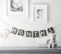 Gray/White Milestone Garland