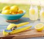 Handheld Lemonade Juicer