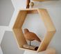 Hexagon Natural Wall Shelves