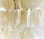 Large Capiz Flush Mount