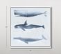 Open Box: Whales Wall Art
