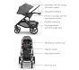 UPPAbaby® Vista® V3 + Rumbleseat V3 Single to Double Stroller System