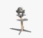 Stokke Nomi® High Chair