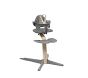 Stokke Nomi® High Chair