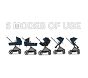Cybex EOS 5-in-1 Travel System Stroller &amp; Aton G Infant Car Seat