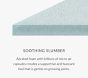 Leesa® Bunk Mattress (7.5"h)