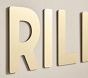 Personalized Dibond Metal Finley Name