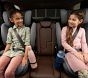 Nuna AACE™ Booster Seat