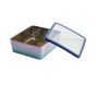 Open Box: Spencer Stainless Kids Bento Box - Rainbow Ombre