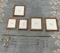 Open Box: Chris Loves Julia Frame Gallery (36" x 18") - Antique Brass