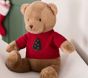 Christmas Toasted Coconut Teddy Bear with Sweater Plush