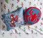 Marvel's Spidey and His Amazing Friends Pillow Bundle
