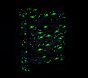 Mackenzie <i>Star Wars™</i> <em>The Mandalorian</em>™ Grogu™ Glow-in-the-Dark Spinner Luggage