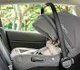 Video 1 for Nuna PIPA™ Lite RX Infant Car Seat &amp; Base