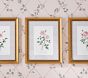 Bria Hammel Roses Wall Art (12"x 15")