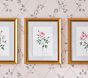 Bria Hammel Roses Wall Art (12"x 15")