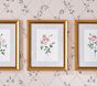Bria Hammel Roses Wall Art (12"x 15")