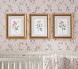 Bria Hammel Roses Wall Art (12"x 15")