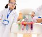 Smol Curiosity Water Table