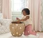 Strawberry Storage Basket