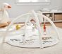Farmhouse Activity Gym