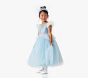 Disney Princess Cinderella Halloween Costume