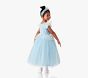 Disney Princess Cinderella Halloween Costume