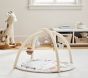 Noah's Ark Activity Gym