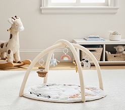 Noah's Ark Activity Gym