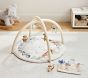 Noah's Ark Activity Gym