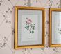 Bria Hammel Roses Wall Art (12"x 15")
