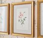 Bria Hammel Roses Wall Art (12"x 15")