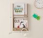Collectors Wall Organizer (26" x 15")