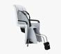 Thule Ride Along 2 Bike Seat