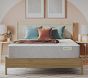 BeautySleep by Beautyrest<sup>&reg;</sup> Plush Mattress (14"h)