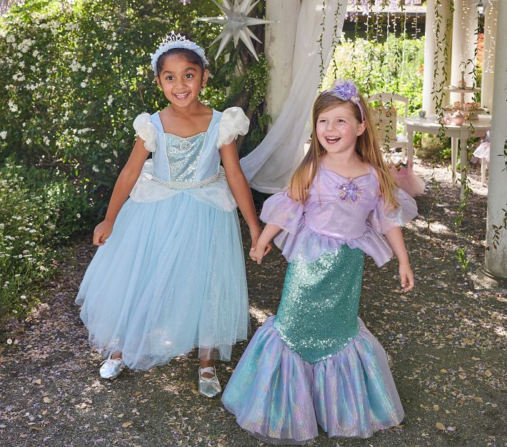 disney princess cinderella dress Halloween Costume Disney Cinderella Dress