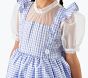 The Wizard of Oz™ Dorothy™ Costume