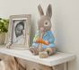 Peter Rabbit™ Metal Frame (6"x 8")