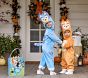 <i>Bluey</i> Bingo Halloween Costume