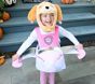 <i>PAW Patrol™</i> Skye Halloween Costume