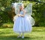 Blue Butterfly Fairy Halloween Costume