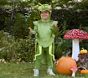 Light-Up Praying Mantis Halloween Costume