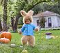 Peter Rabbit<sup>&trade;</sup> Baby Halloween Costume