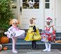 <i>PAW Patrol™</i> Skye Halloween Costume