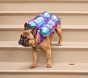 Cosmic Astronaut Pet Costume