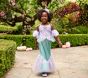 Disney Princess Ariel Halloween Costume