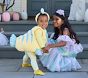 Disney Princess and Companions Costume Collection
