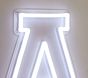Brite Lite Personalized Varsity LED Wall Light