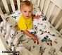 Disney and Pixar Toy Story Organic Toddler Sheet Set (Crib Sized)