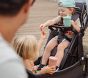 Veer Switchback Stroller Tray